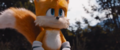 Tails 01 StHM.png